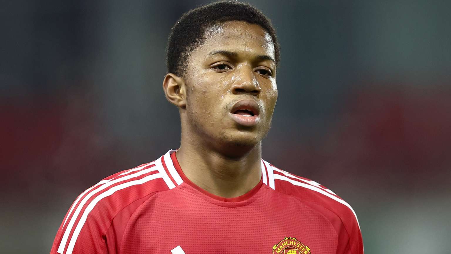 未来的几个 未来的几个